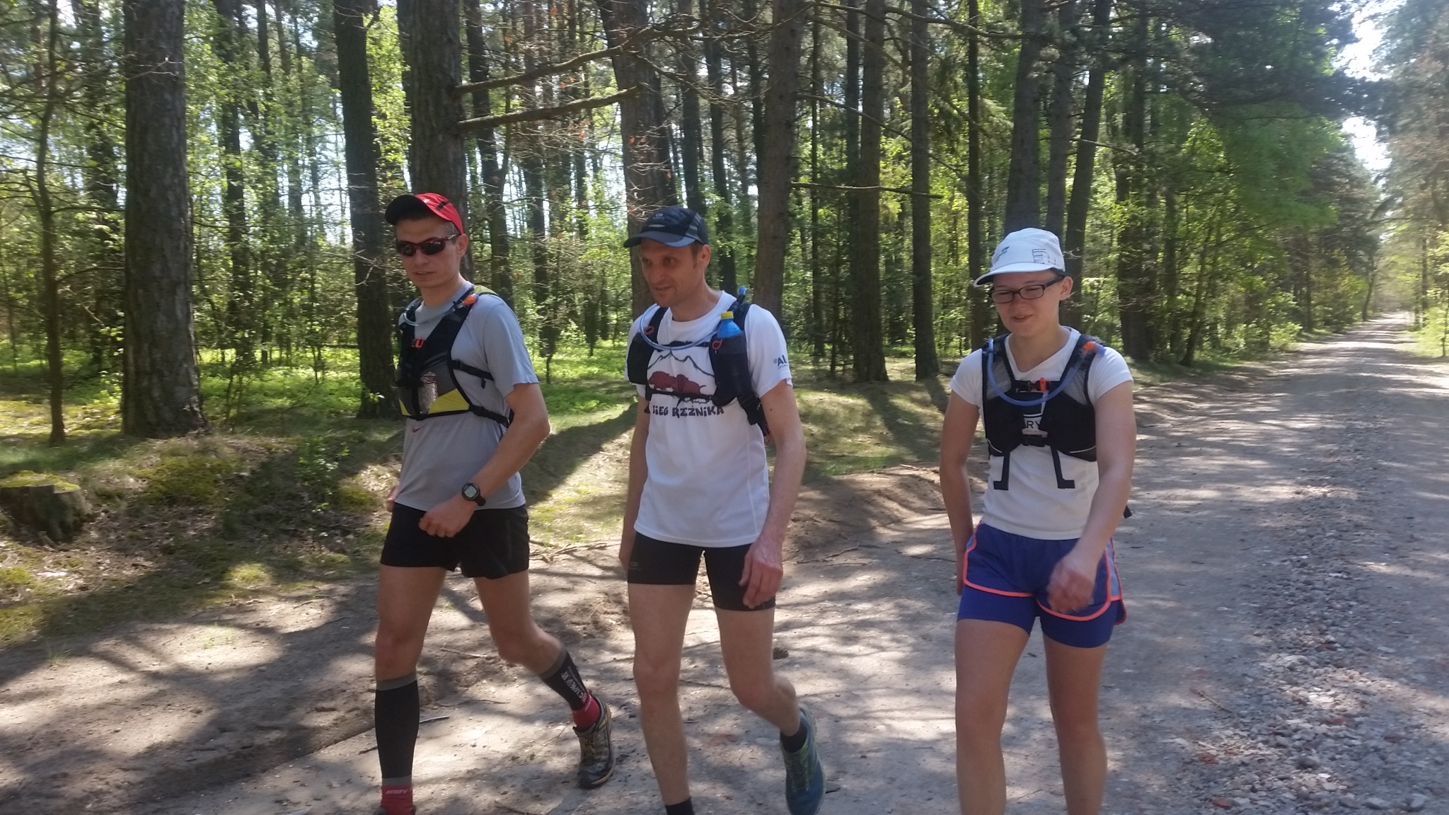 etap.1 Las Karolewski